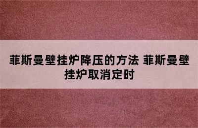 菲斯曼壁挂炉降压的方法 菲斯曼壁挂炉取消定时